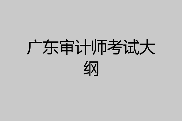 广东审计师考试大纲