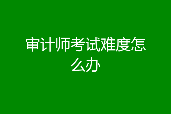 审计师考试难度怎么办