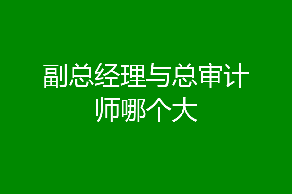 副总经理与总审计师哪个大