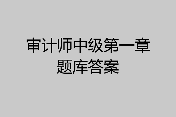 审计师中级第一章题库答案