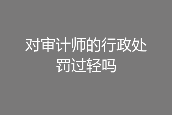 对审计师的行政处罚过轻吗