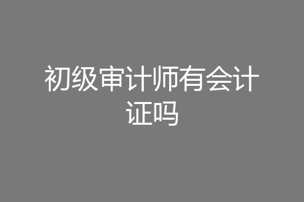 初级审计师有会计证吗