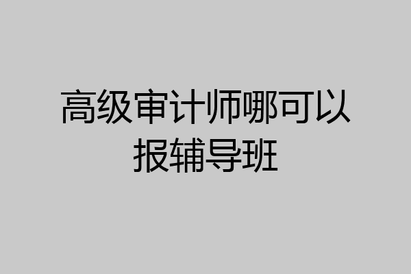 高级审计师哪可以报辅导班