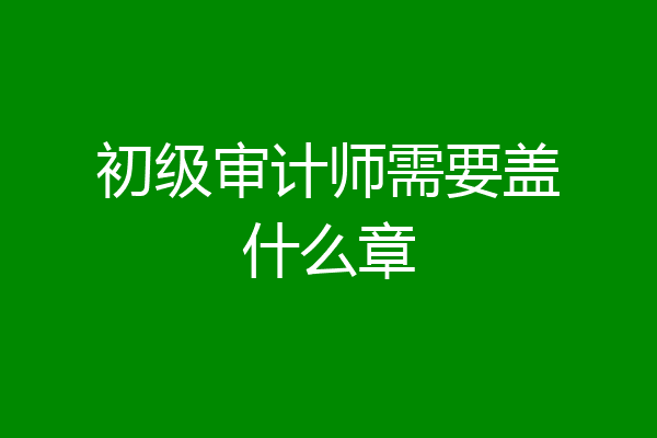 初级审计师需要盖什么章