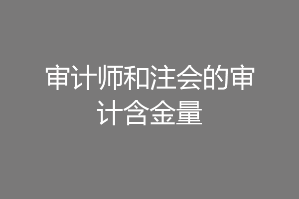审计师和注会的审计含金量