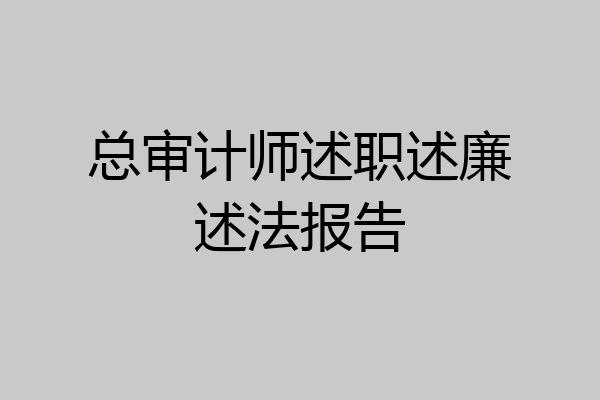 总审计师述职述廉述法报告