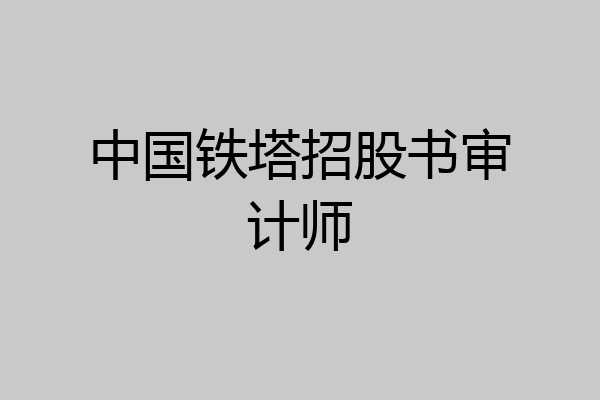 中国铁塔招股书审计师