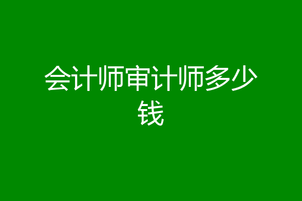 会计师审计师多少钱