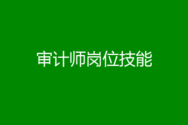 审计师岗位技能
