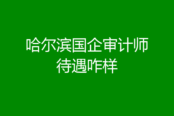 哈尔滨国企审计师待遇咋样