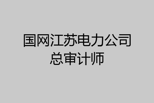 国网江苏电力公司总审计师