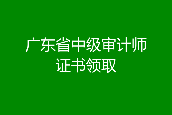 广东省中级审计师证书领取
