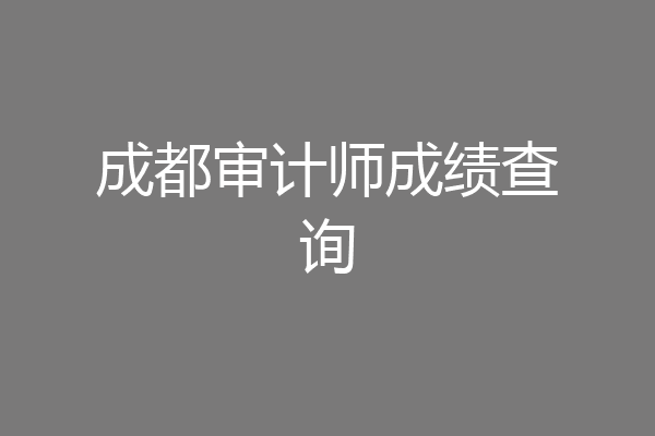 成都审计师成绩查询