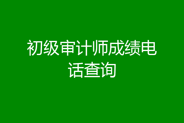 初级审计师成绩电话查询