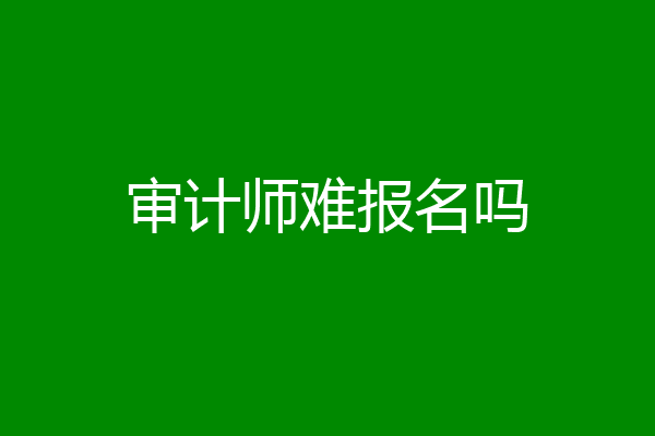 审计师难报名吗