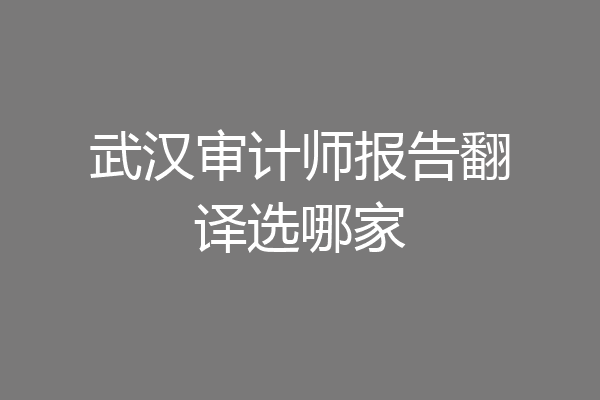 武汉审计师报告翻译选哪家