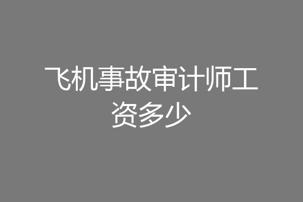 飞机事故审计师工资多少