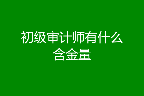 初级审计师有什么含金量