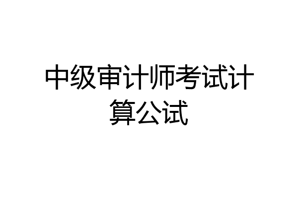 中级审计师考试计算公试