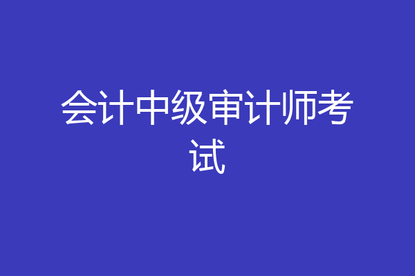 会计中级审计师考试
