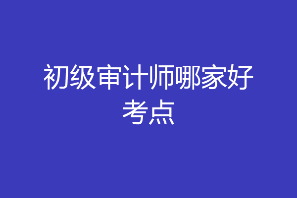 初级审计师哪家好考点