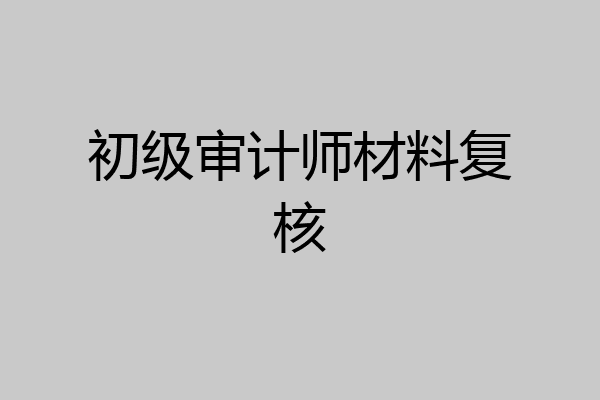 初级审计师材料复核