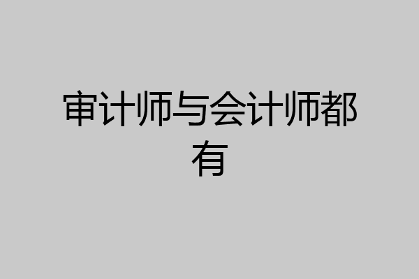 审计师与会计师都有