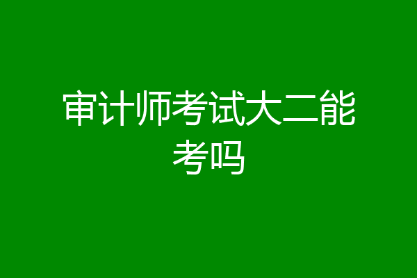审计师考试大二能考吗