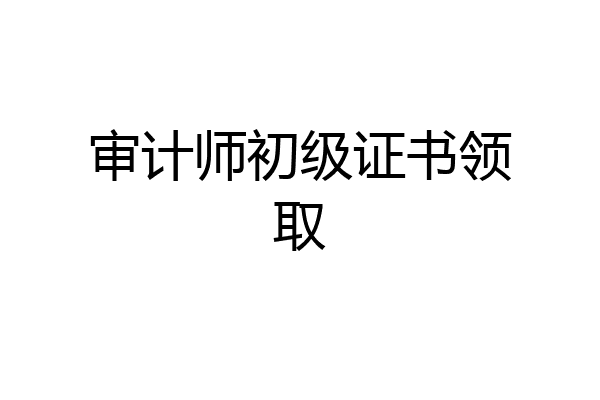 审计师初级证书领取