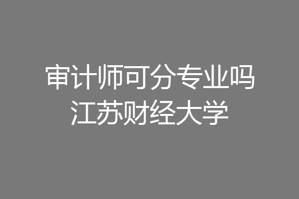 审计师可分专业吗江苏财经大学