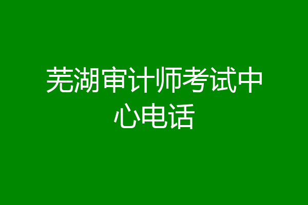 芜湖审计师考试中心电话