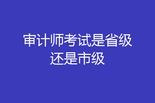 审计师考试是省级还是市级