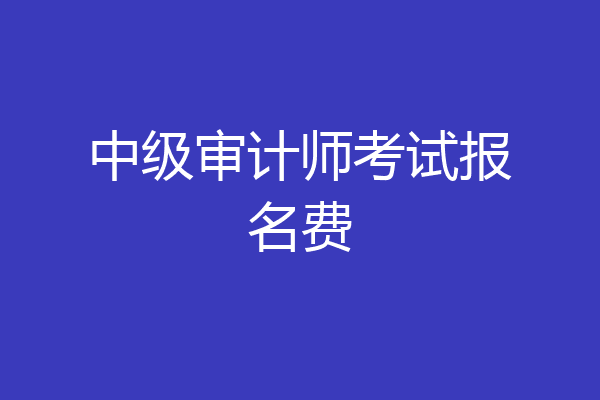 中级审计师考试报名费
