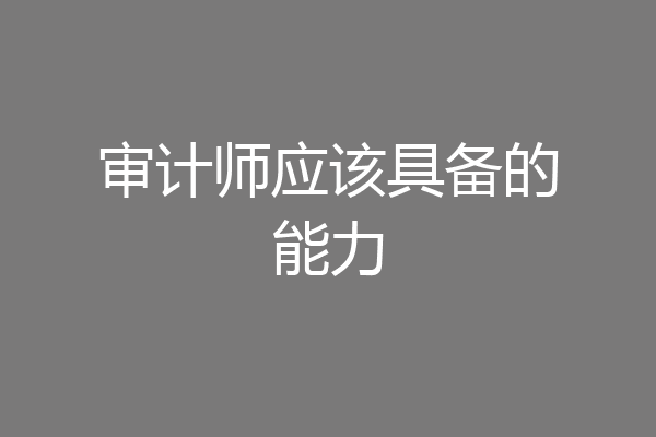 审计师应该具备的能力
