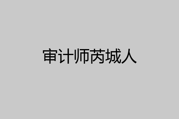 审计师芮城人