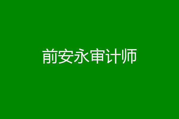 前安永审计师