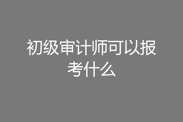 初级审计师可以报考什么