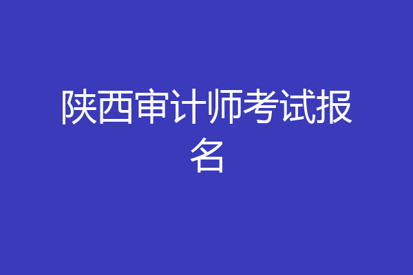 陕西审计师考试报名