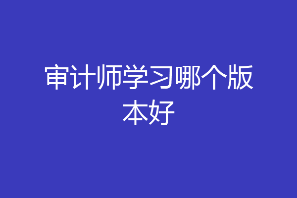审计师学习哪个版本好