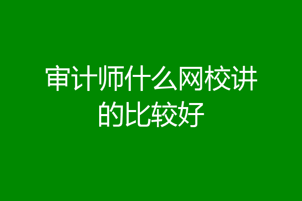 审计师什么网校讲的比较好