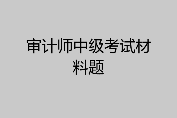 审计师中级考试材料题