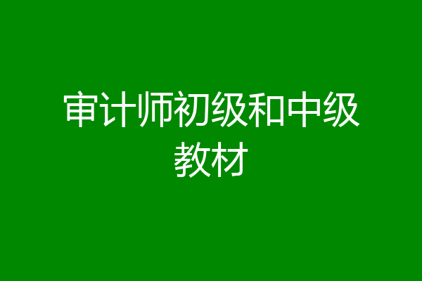 审计师初级和中级教材