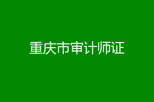 重庆市审计师证