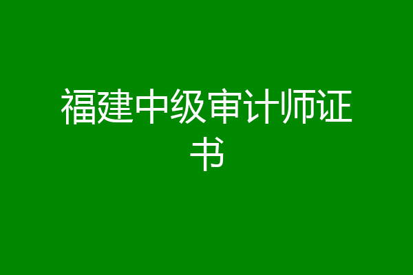 福建中级审计师证书