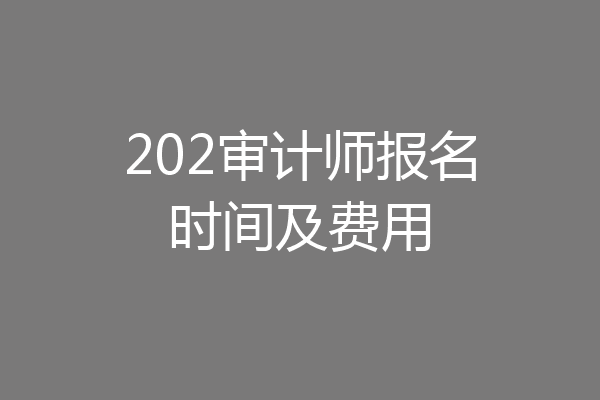 202审计师报名时间及费用