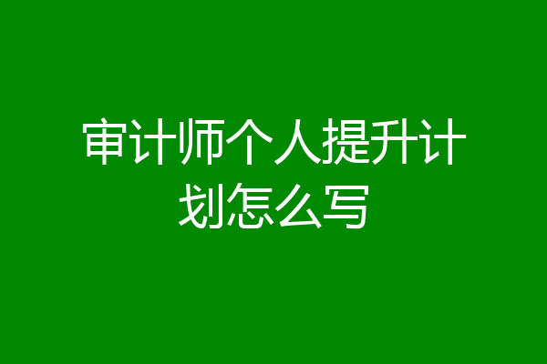 审计师个人提升计划怎么写