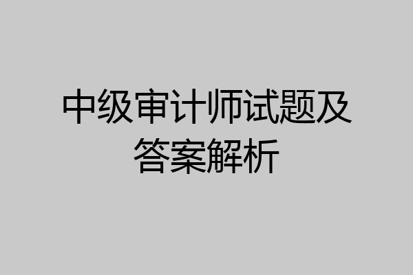 中级审计师试题及答案解析