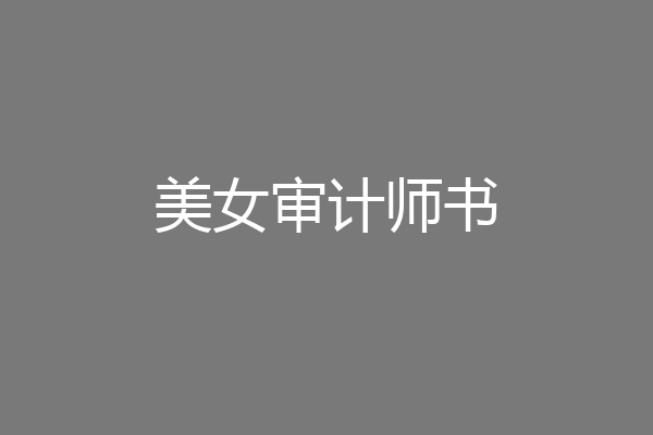 美女审计师书