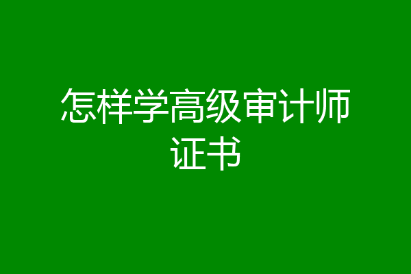 怎样学高级审计师证书