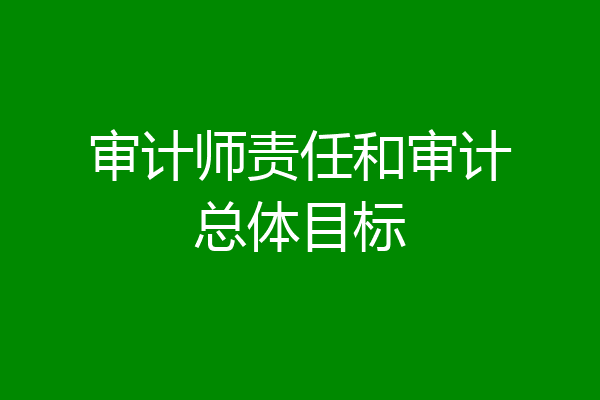 审计师责任和审计总体目标